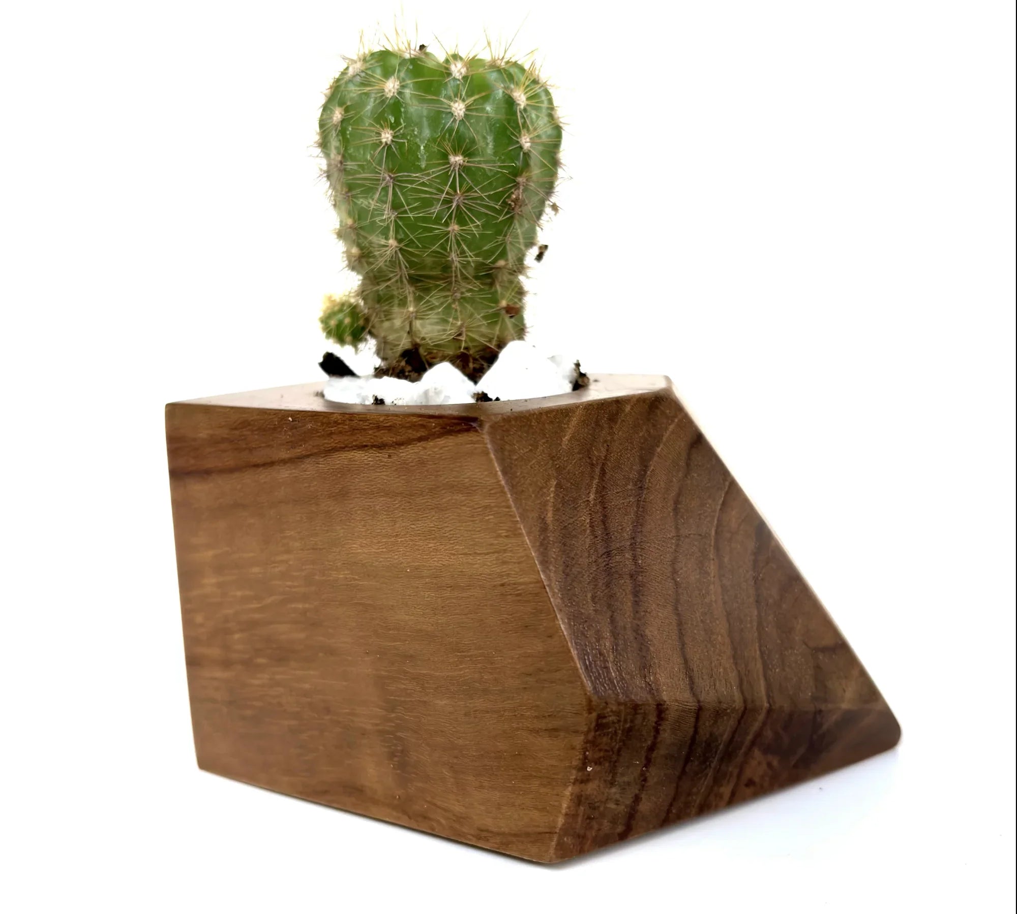 Artisan cactus pot – unique design - wp006