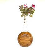 Circular Teak Wooden Test Tube Vase