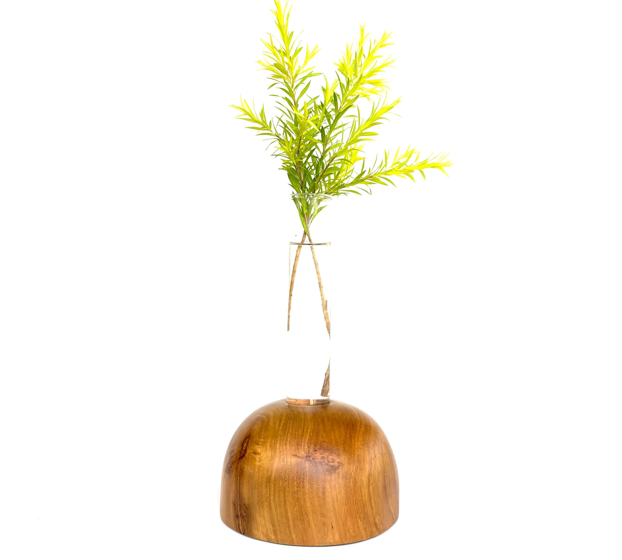 Dome-Shaped Teak Wooden Test Tube Vase