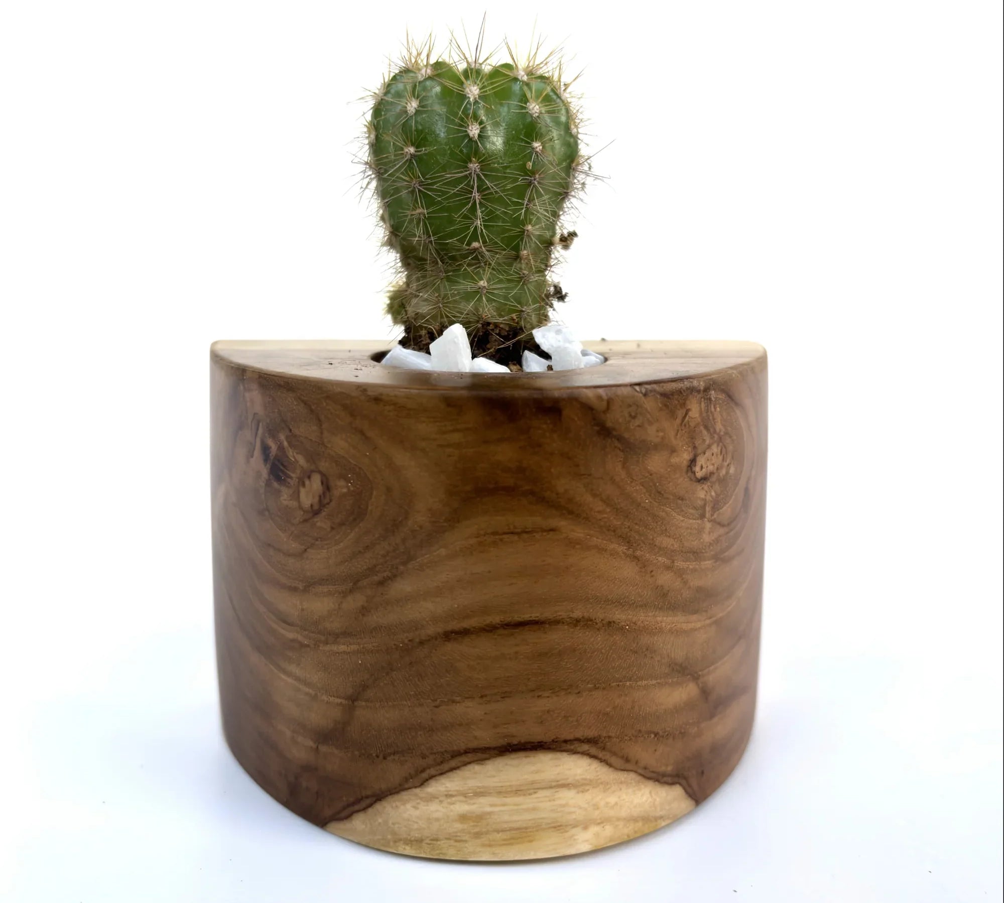 Handcrafted solid teak wood cactus pot - wp005