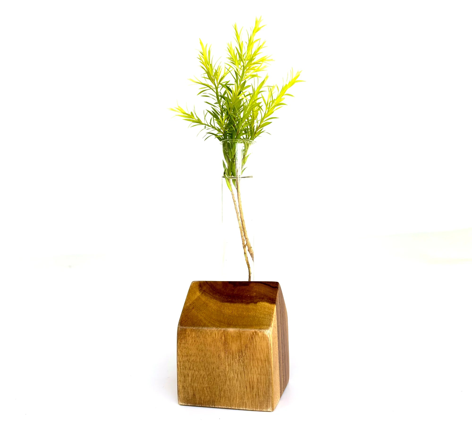 House-Shaped Teak Wooden Test Tube Vase
