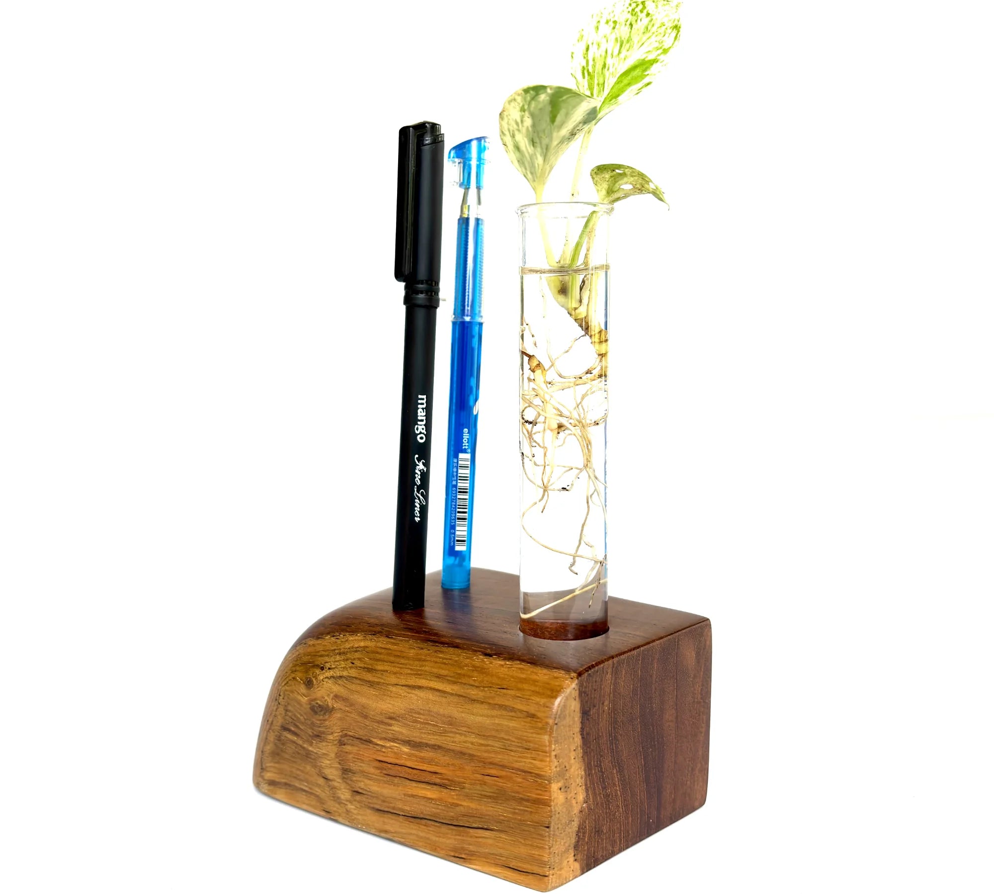 Pen Holder & Test Tube Vase - Desk Organizer