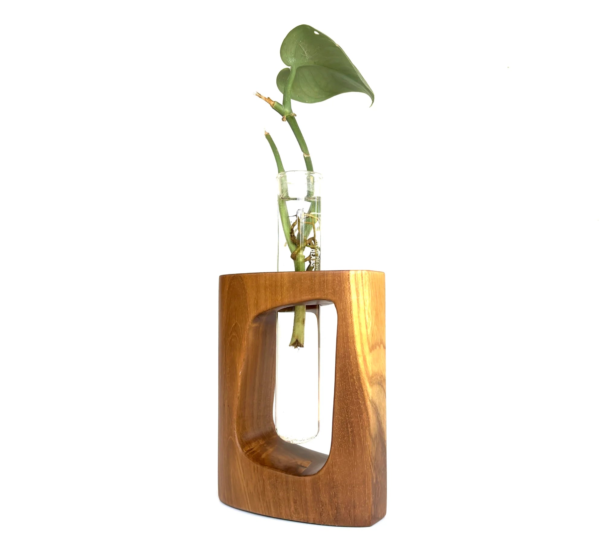 Rounded Frame Teak Test Tube Vase