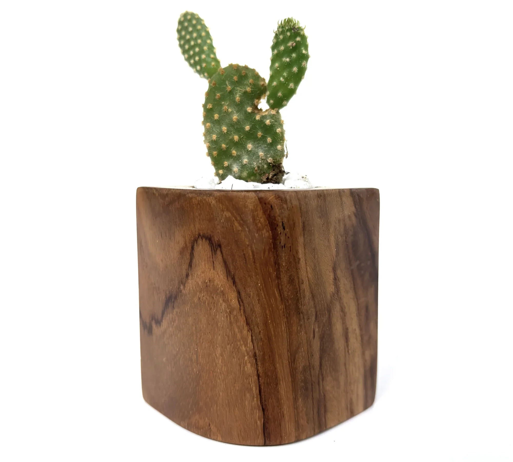 Eco-friendly wooden plant pot - wp004