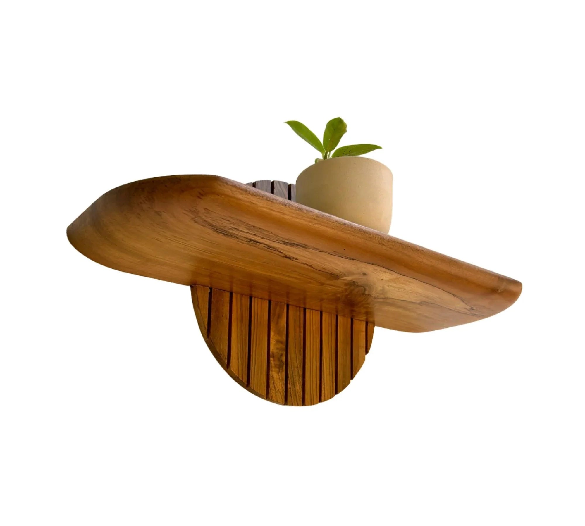 Wood Ceylon teak floating plant shelf with a small potted plant on top against a white background