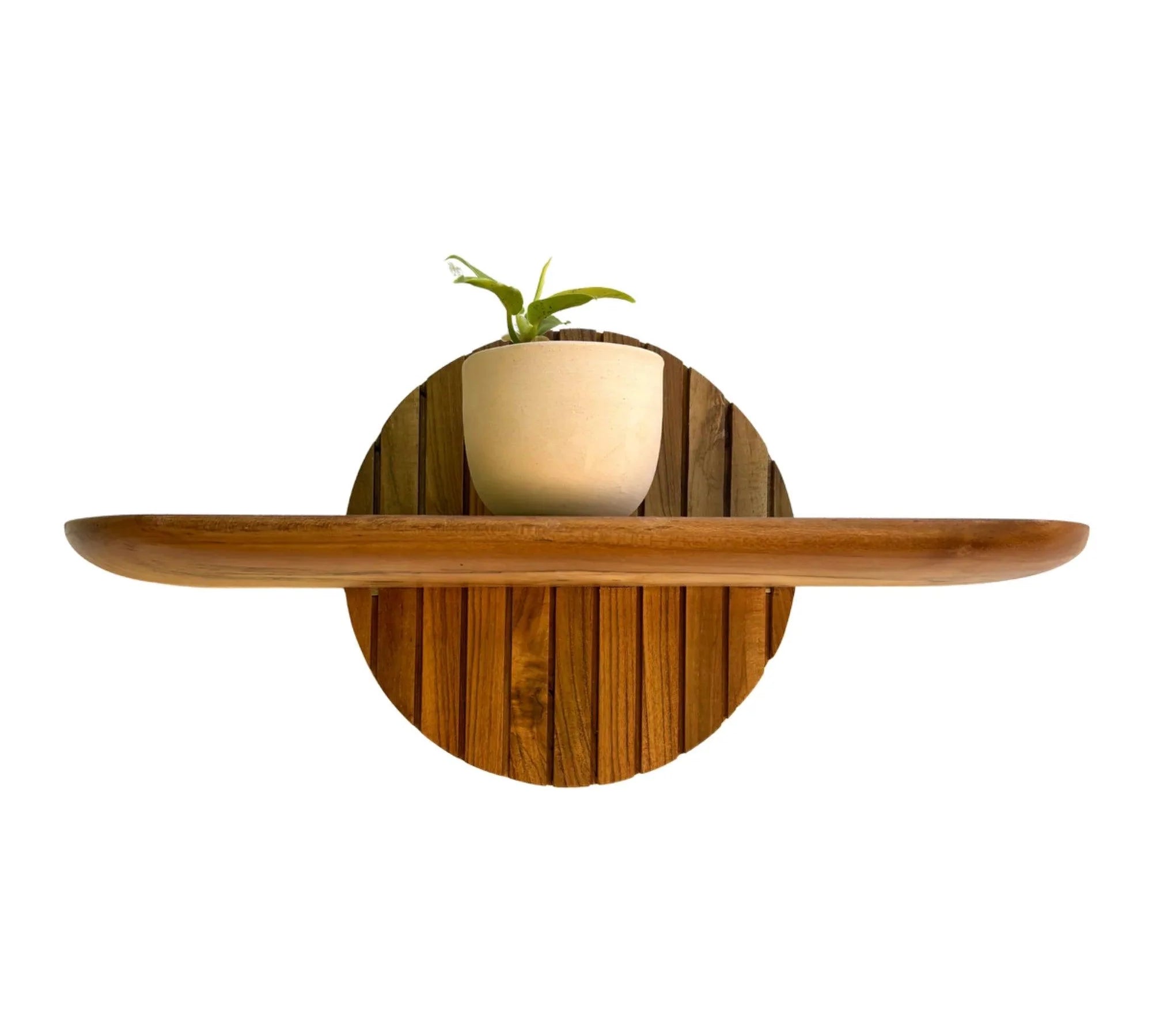 Wood Ceylon teak floating plant shelf with round backplate holding a small potted plant