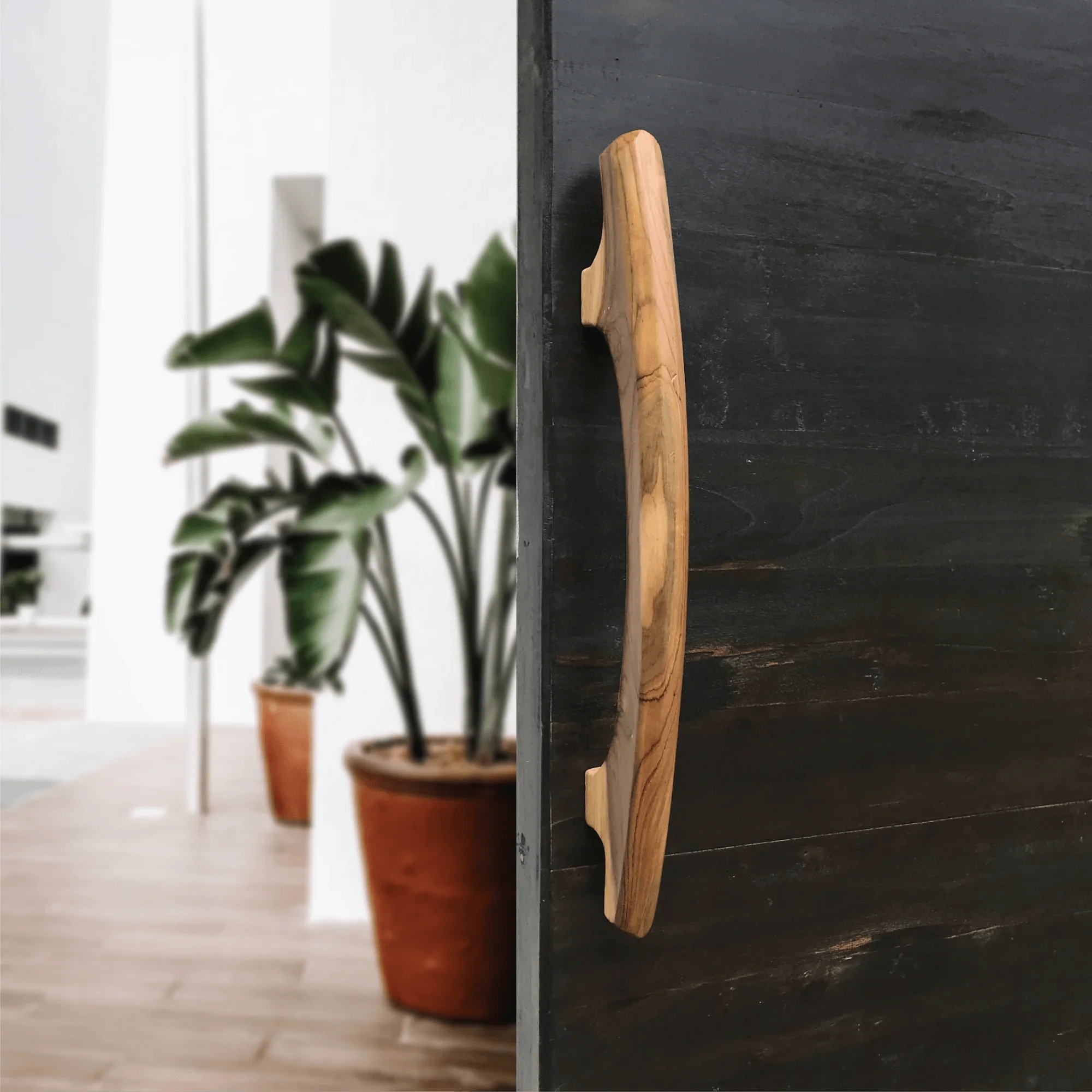 Wood Ceylon handmade teak door handle mounted on a dark wooden door with plants in background